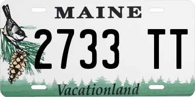 ME license plate 2733TT