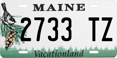 ME license plate 2733TZ