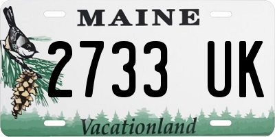 ME license plate 2733UK