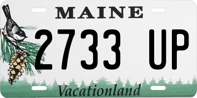 ME license plate 2733UP