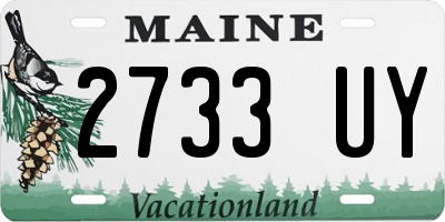 ME license plate 2733UY