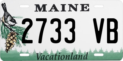 ME license plate 2733VB