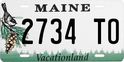 ME license plate 2734TO
