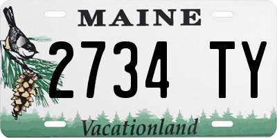 ME license plate 2734TY