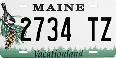 ME license plate 2734TZ