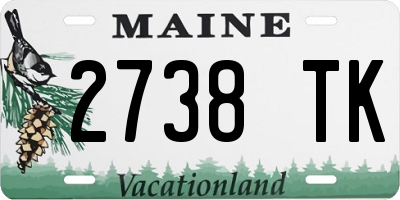 ME license plate 2738TK