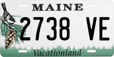 ME license plate 2738VE