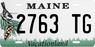ME license plate 2763TG