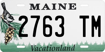 ME license plate 2763TM