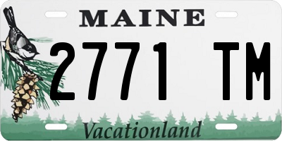 ME license plate 2771TM