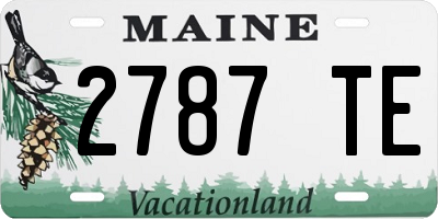 ME license plate 2787TE