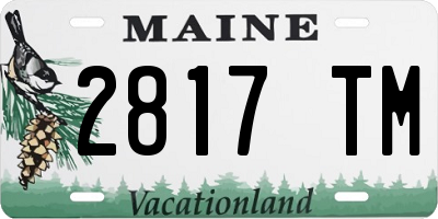 ME license plate 2817TM