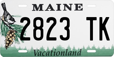 ME license plate 2823TK