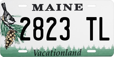 ME license plate 2823TL