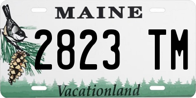ME license plate 2823TM
