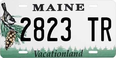 ME license plate 2823TR