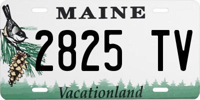 ME license plate 2825TV