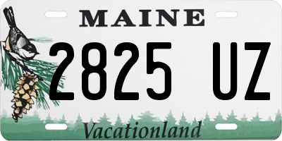 ME license plate 2825UZ