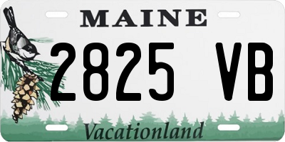 ME license plate 2825VB