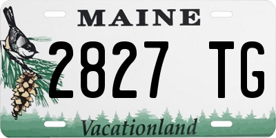 ME license plate 2827TG