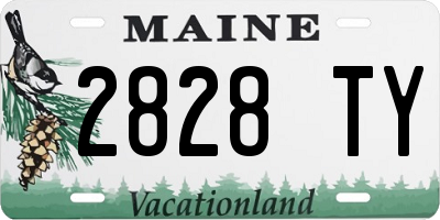 ME license plate 2828TY