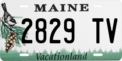 ME license plate 2829TV