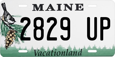 ME license plate 2829UP