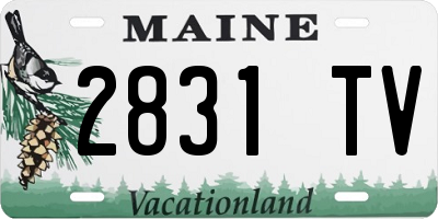 ME license plate 2831TV
