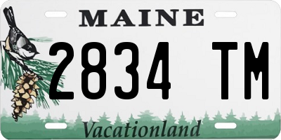 ME license plate 2834TM