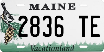 ME license plate 2836TE