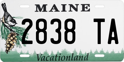 ME license plate 2838TA