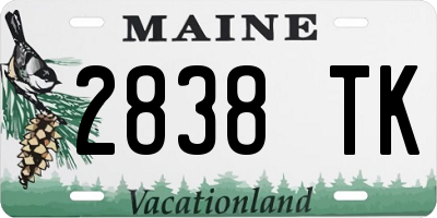 ME license plate 2838TK