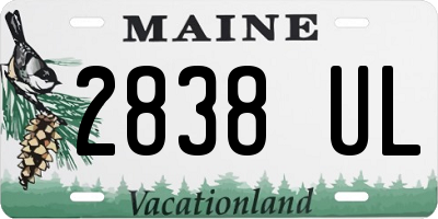 ME license plate 2838UL