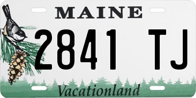 ME license plate 2841TJ