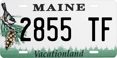 ME license plate 2855TF