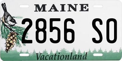 ME license plate 2856SO