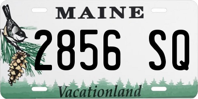 ME license plate 2856SQ