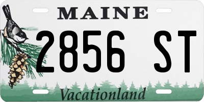 ME license plate 2856ST