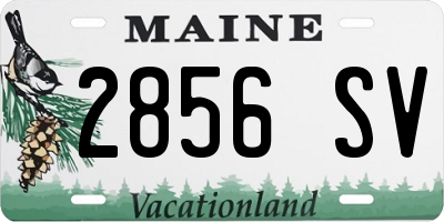 ME license plate 2856SV