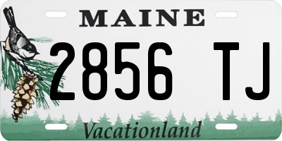 ME license plate 2856TJ