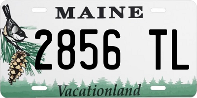 ME license plate 2856TL