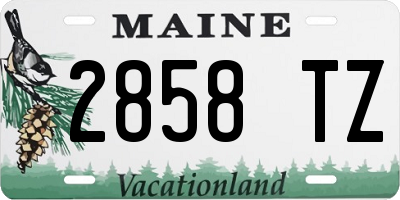 ME license plate 2858TZ
