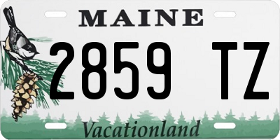 ME license plate 2859TZ