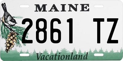ME license plate 2861TZ