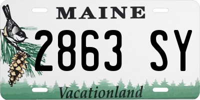 ME license plate 2863SY