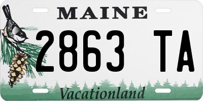 ME license plate 2863TA