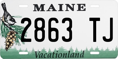 ME license plate 2863TJ