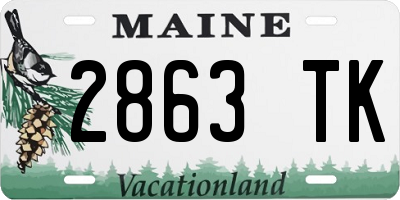 ME license plate 2863TK