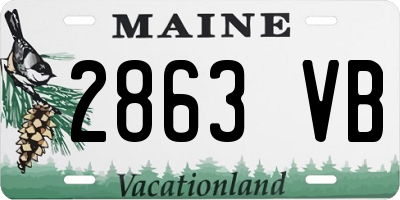 ME license plate 2863VB