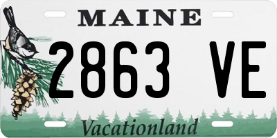 ME license plate 2863VE